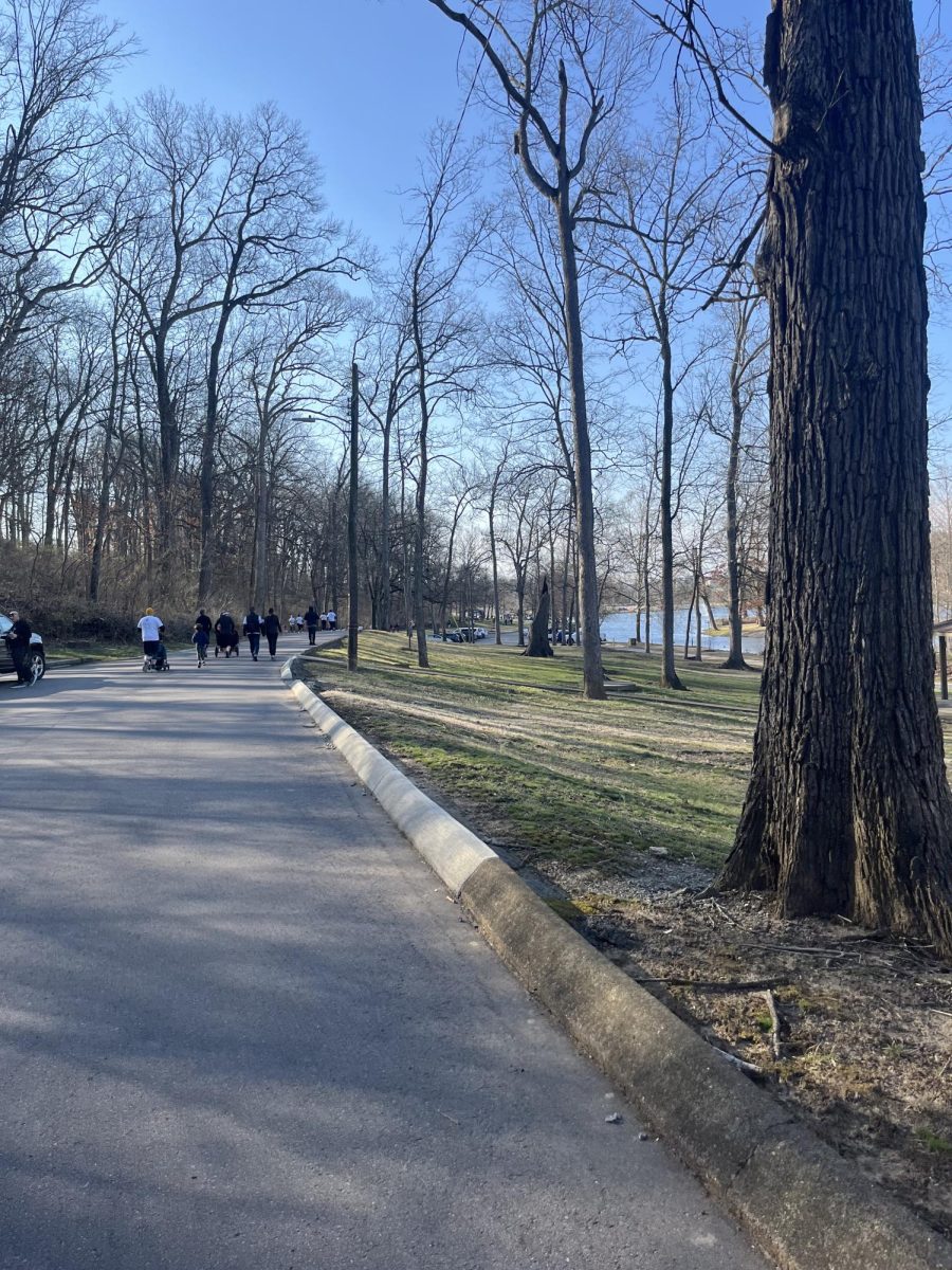 An image of the 5K run on March 8th, 2025. Over 700 people attended this run. "This run made me realize how many people support and love Alyssa." Said Ella Hite, Alyssa's cousin.